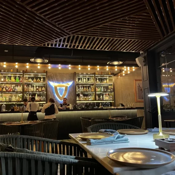 v-de-vaca